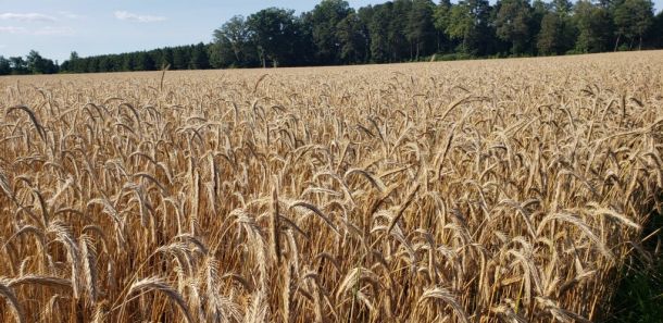 Photo Credit: Catoctin Creek Distilling Company