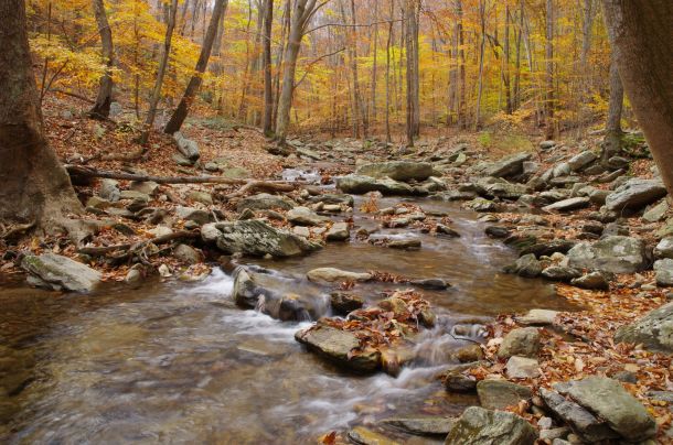Photo Credit: Getty Images, Used Under License.