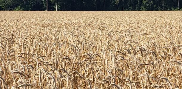 Photo Credit: Catoctin Creek Distilling Company