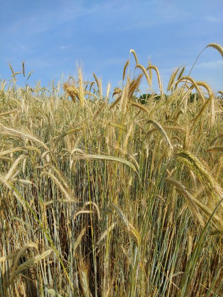 Photo Credit: Catoctin Creek Distilling Company