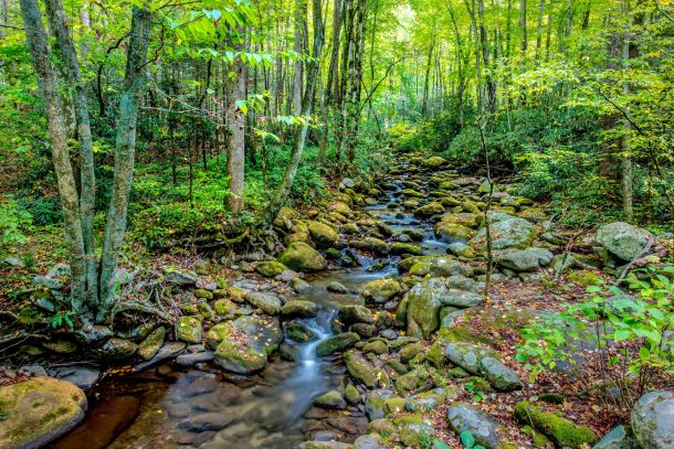 Photo Credit: Getty Images, Used Under License.