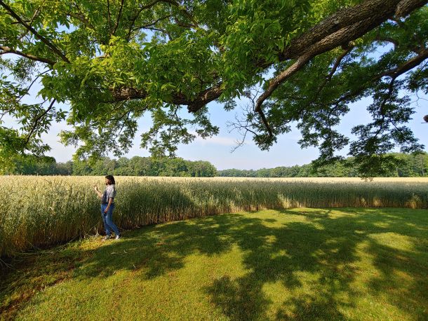 Photo Credit: Catoctin Creek Distilling Company